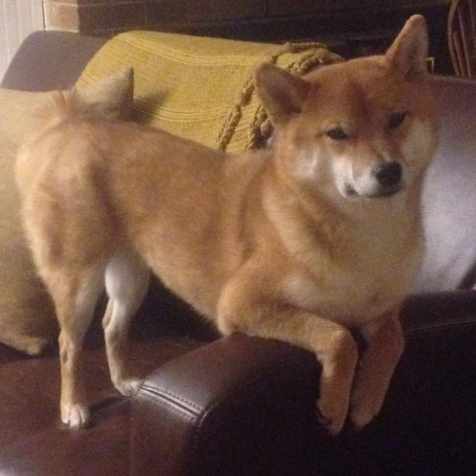 从多伦多到费城，当骑士轻取篮网之夜，伦纳德在另一个赛场接管比赛